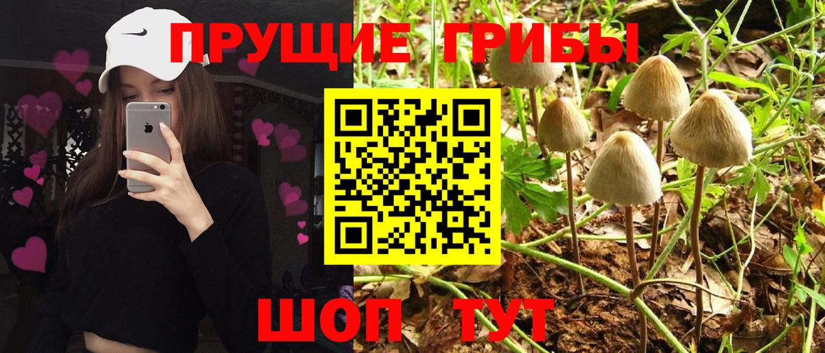 Галлюциногенные грибы Psilocybe  Вход с VPN  Нефтеюганск  Псилоцибиновые грибы мухоморы 